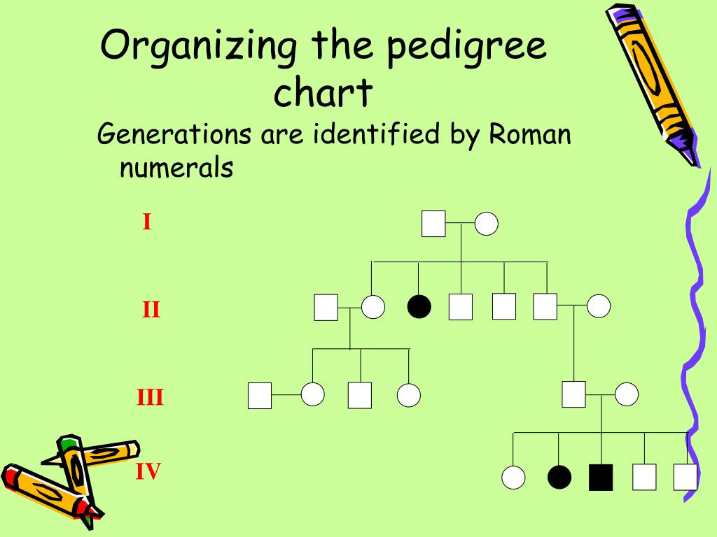 PPT Making A Pedigree Chart PowerPoint Presentation Free Download 