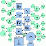 Generic Map For Major Scales Music Chords Music Theory Learn Music